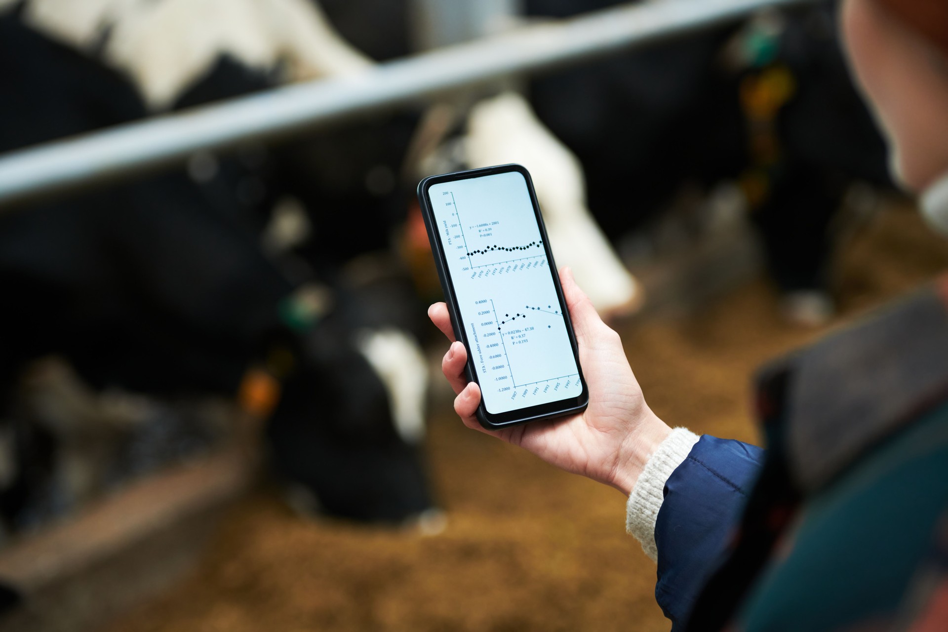 Hand of young female owner of modern cowfarm holding mobile phone